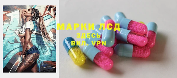 PSILOCYBIN Алзамай