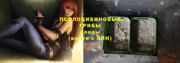 PSILOCYBIN Алзамай