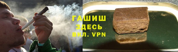 индика Новокубанск