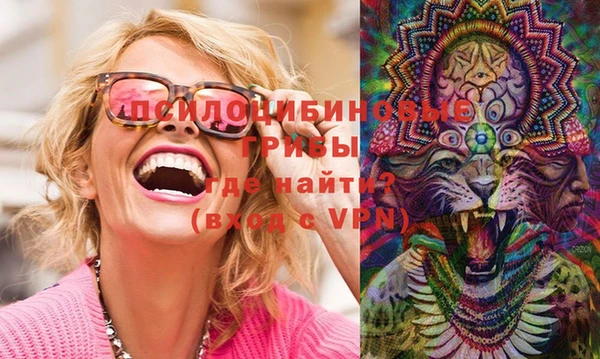 PSILOCYBIN Алзамай