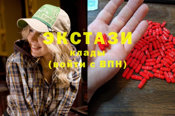 индика Новокубанск