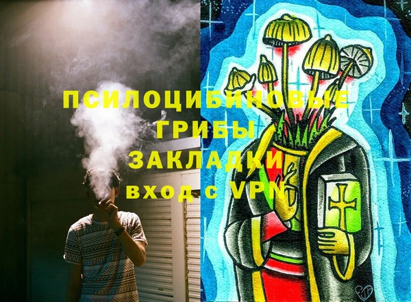 ГАЛЛЮЦИНОГЕННЫЕ ГРИБЫ Алексеевка