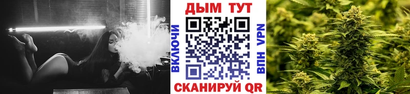 Бошки Шишки планчик Ивдель